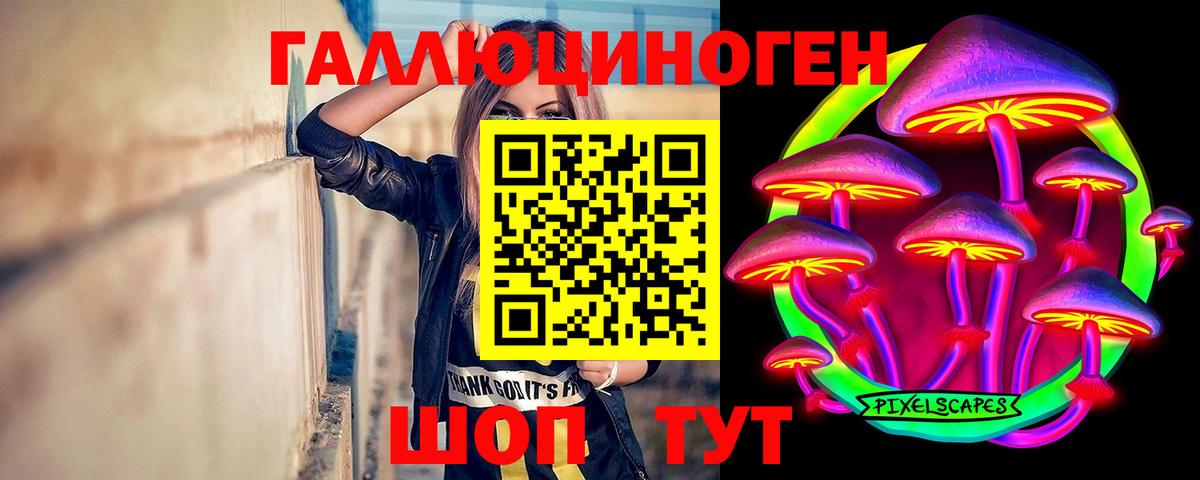Галлюциногенные грибы GOLDEN TEACHER Видное